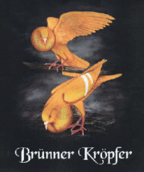 muster-bruenner